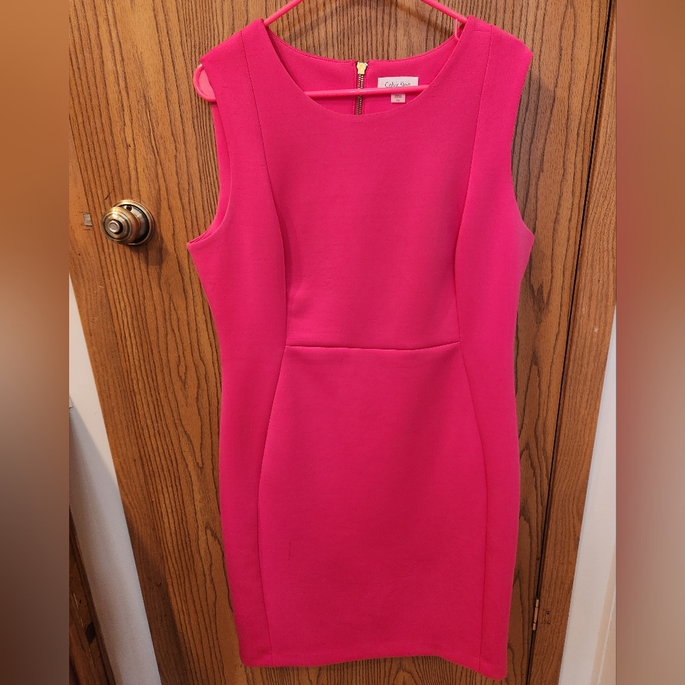 Calvin Klein Bright Pink Sheath Dress, Wm sz 16